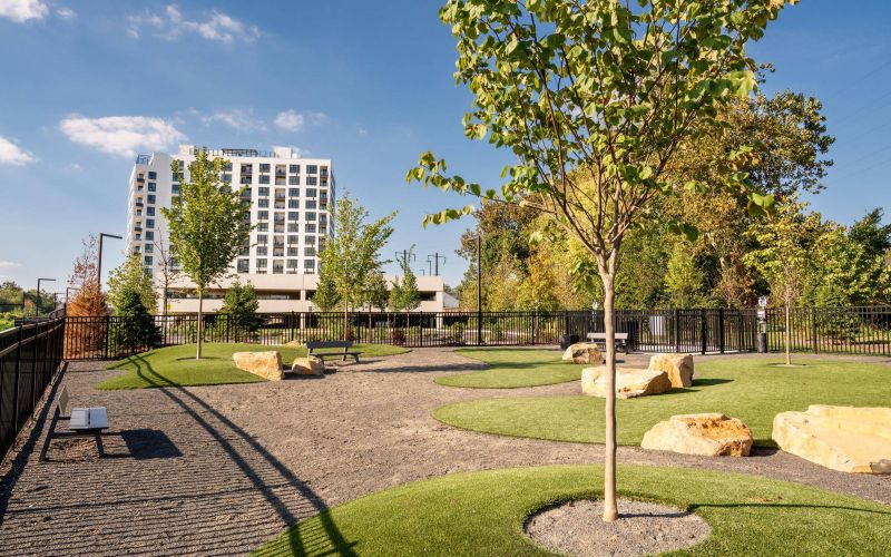 Madison West Elm apartments Modern dog park with trees, benches, and large rocks, with a tall white building in the background.