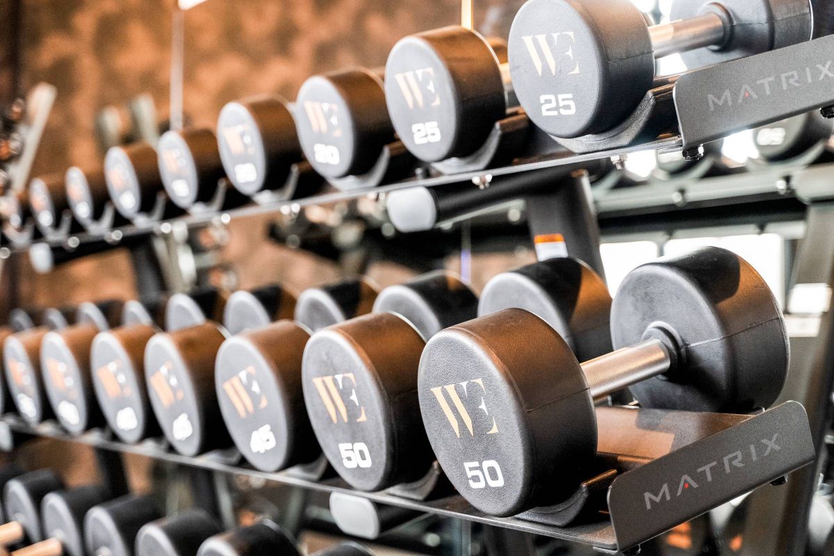 Madison West Elm apartments A rack of black dumbbells with various weights lined up in a gym.