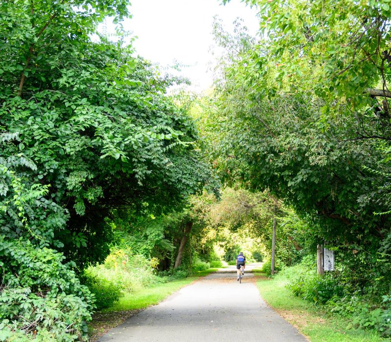 A person walks down a paved path surrounded by lush green trees and foliage on a sunny day on Schuylkill River Trail.