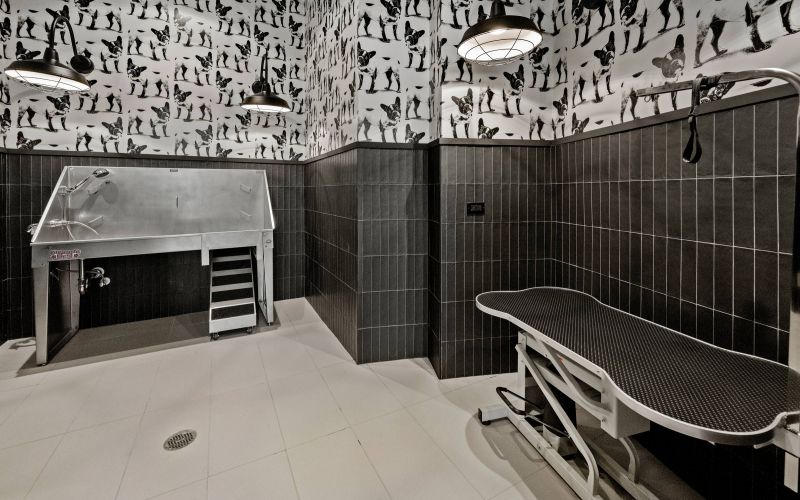 Madison West Elm apartments A modern pet grooming room with a washing station, grooming table, and dog-themed wallpaper.